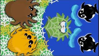 LEGENDARY SPIDER WEB TROLLING IN MOPE.IO - Trapping 1v1 Arenas & Apexs To death