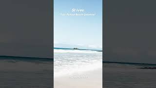 St Ives Beach Sun Sand and Waves  2024 Travel Guide