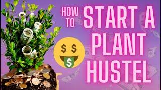 How To Make Money With Houseplants For Beginners 🪴