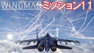 Project Wingman  日本語プレイスルー  ミッション11 冷戦
