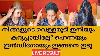 Natural Hair Dye Correct Procedure With Proof No Side Effect No Chemical മലയാളം Kavis Lifestyle