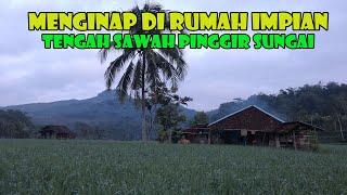 Menginap Di Rumah Tengah Sawah Sungai Dengan Suasana Alam Yang Asri..Idaman Banget.