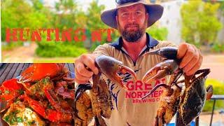 MONSTER Mud Crab Catch Clean Cook Chilli Mud Crab