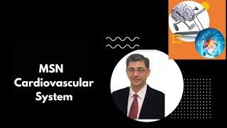 MSN  Cardiovascular System  Dr. Marwah