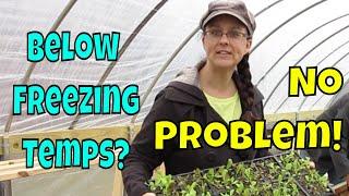 Unheated Greenhouse Troubles.  Our Solution