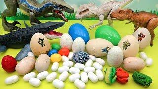 Dinosaur Egg Collection - Jurassic World Egg Mini Dino Egg Transformer Egg