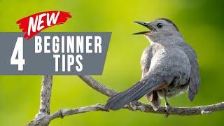 Bird Photography for Beginners 4 Unusual Tips