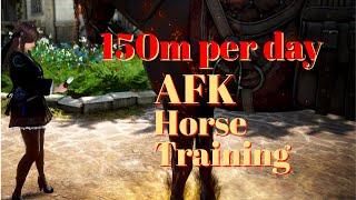 BDO 2023 AFK horse training 150m  night