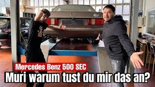 Bestandsaufnahme vom Schrotthaufen. Was mache ich jetzt? Mercedes Benz 500 SEC