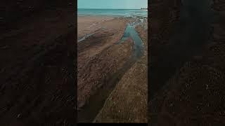 FPV beach flight #shorts #fpv #drone