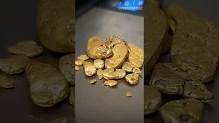 Diver Finds $1500 Of Gold Nuggets In Bedrock Crack