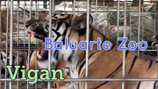 Baluarte Zoo in Vigan Golden tower Safari gallery Philippines