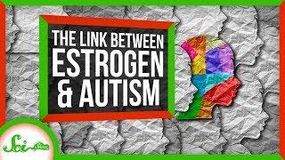 The Unexpected Connection Between Estrogen and Autism  SciShow News