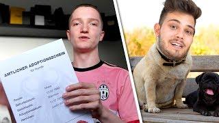 SupermanDennis ist jetzt mein Hund ️