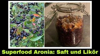 Aroniasaft und Aronialikör  Saft und Likör aus Aronia Apfelbeere selber machen