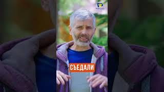 Как избавиться от тайного греха?  Пастор Александр Лисичный   Часть 8