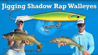 Jigging Shadow Rap Walleyes