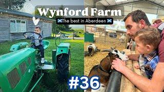 Wynford Farm  in #Aberdeen 󠁧󠁢󠁳󠁣󠁴󠁿 - An interactive experience for toddlers & adults