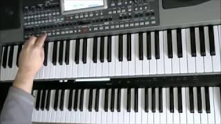 НОСТАЛЬГИЯ ПО 80-ЫМ   KORG PA900 _ Igor Korg