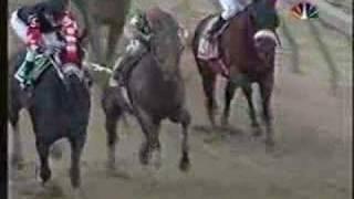 Afleet Alex Preakness Stakes 2005 + overview of near fall