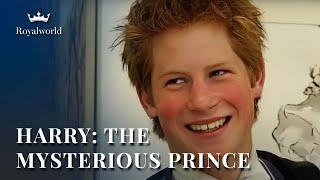 Harry The Mysterious Prince  Biography