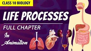 Life processes Full chapter  class 10 Animated video  10th BIOLOGY  ncert #science  Chapter 6