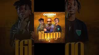 COZIEM FT CELEB CITY --  Ifibyongo