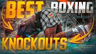 BEST BOXING KNOCKOUTS OF 2024  PART 7  BOXING FIGHT HIGHLIGHTS KO HD