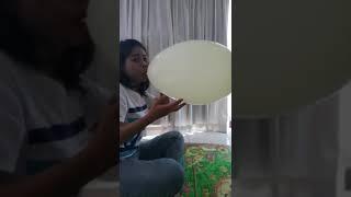 Nice Girl Blow to Pop Some Balloons