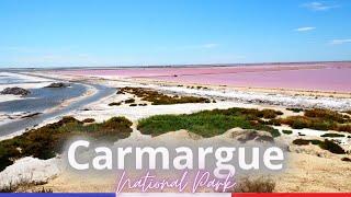 One Day in the Camargue - Flamingos Horses and Black Bulls  Arles Gard South of France