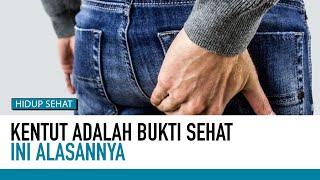 Ternyata Ini Fungsi Utama Usus Besar Manusia  Tips Sehat