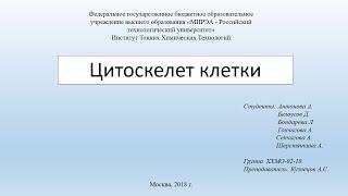 Цитоскелет клетки