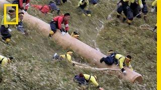 Riding Giant Logs in Japans Dangerous 1200-Year-Old Festival  Short Film Showcase