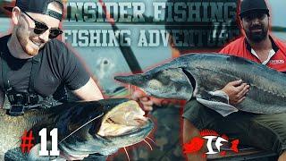 Die Suche nach dem MONSTERFISCH  zu Besuch bei FISHING ADVENTURE #11 - INSIDER FISHING