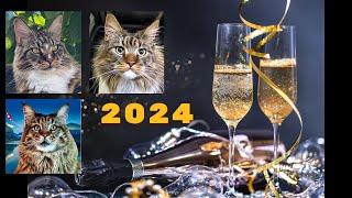 Willie the cat Archie the cat and Anfisa the cat. New Years greetings 2024 #2k