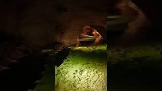 grotte de la balmeكهف ملك فرنسا قديما فرانسوا الاولCave of the Balmegrotte de françois 1er#shorts