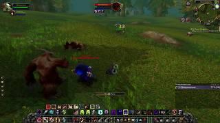 WoW classic Warlock PvP 28+ Сервер Рок Делар