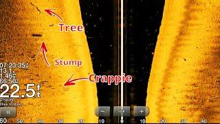 How to use Side Imaging to Find Crappie in the summer