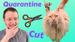 I Gave My Cat a Quarantine Haircut  