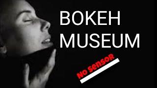 Video Bokeh Museum No Sensor Full