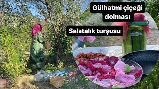 Gülhatmi çiçeği dolması ve salatalık turşusu