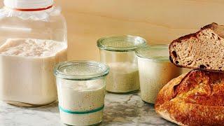 How to Feed and Maintain a SOURDOUGH STARTER