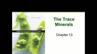 Trace Minerals Chapter 13