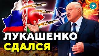 У Запада получилось Лукашенко идёт на уступки. Готовится новое нападение  Новости Беларуси