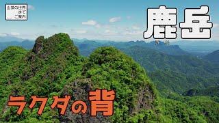 【登山】鹿岳 -ラクダの背-