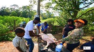 Processing The PGO Pig How To Process A Hog At Home