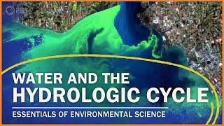 The Water Cycle and Water Pollution  Essentials of Environmental Science
