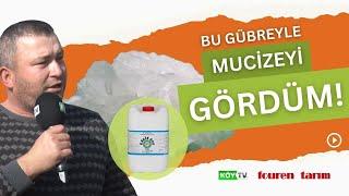 BORUN GERÇEK YÜZÜ  AÇIK ALAN VE ÖRTÜ ALTINDA BOR İÇERİKLİ GÜBRE KULLANIMI