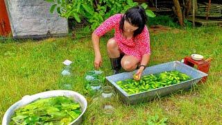 Charming Farm Life A Beautiful Wife Tending the Garden & Catching Chickens