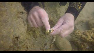 Ancient Good Shepherd Gold Jesus Ring Found Off Israeli Coast